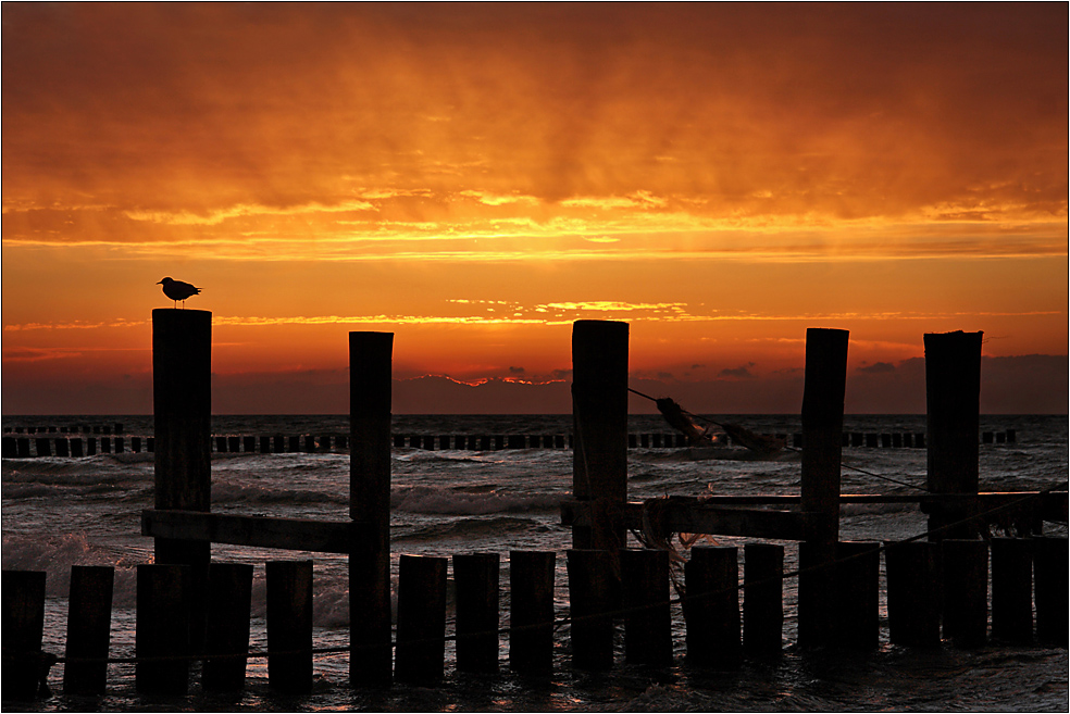 In Zingst geht die Sonne unter... (4)