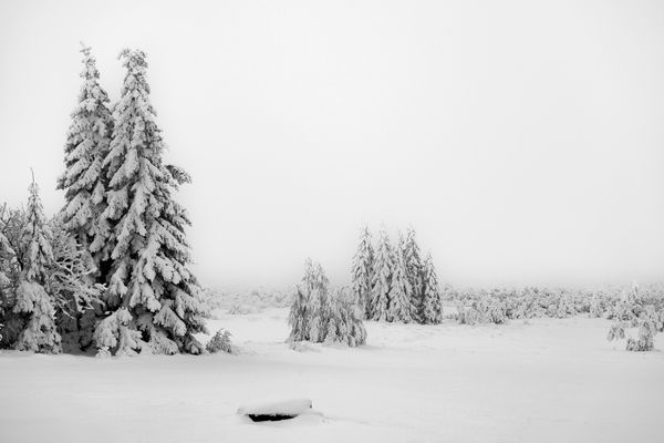 In Zinnwald ist der Winter eindrucksvoll eingezogen (1)