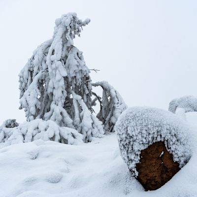 In Zinnwald ist der Winter eindrucksvoll eingezogen (2)