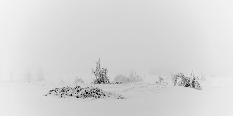 In Zinnwald ist der Winter eindrucksvoll eingezogen (4)