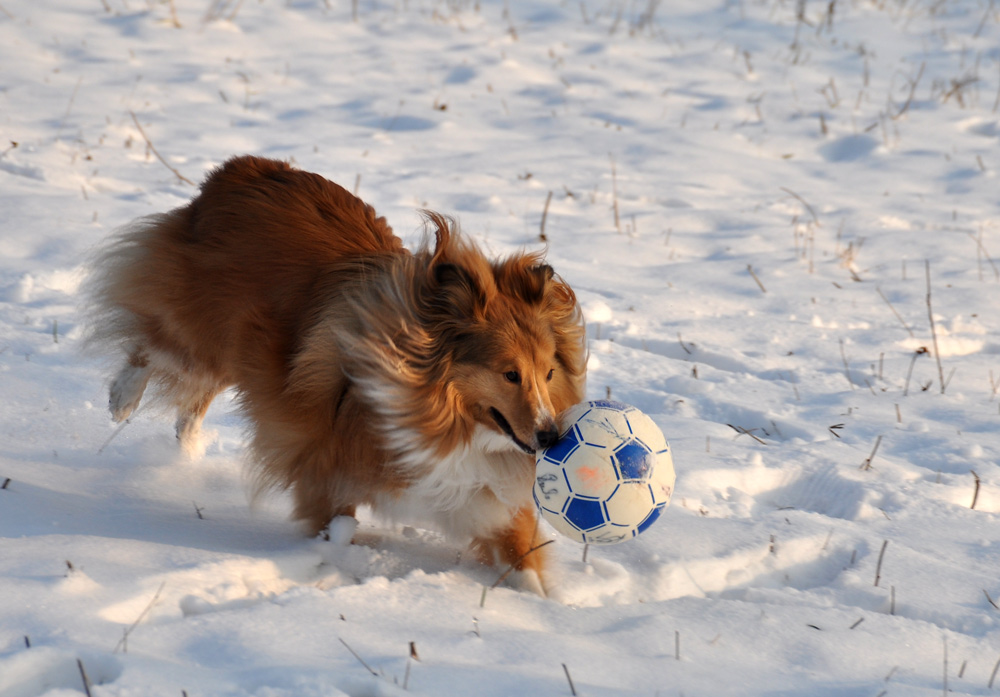 Ina beim "Schneeball" spielen.