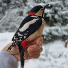 User Profile Photo