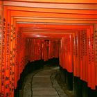 Inari-taisha bei Kyoto