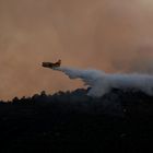 Incendi boschivi in Campania.