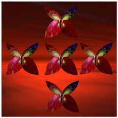 Incendia - Schmetterlingsblüten
