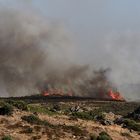 Incendio del 18 Luglio 2010 vicino a Carbonia