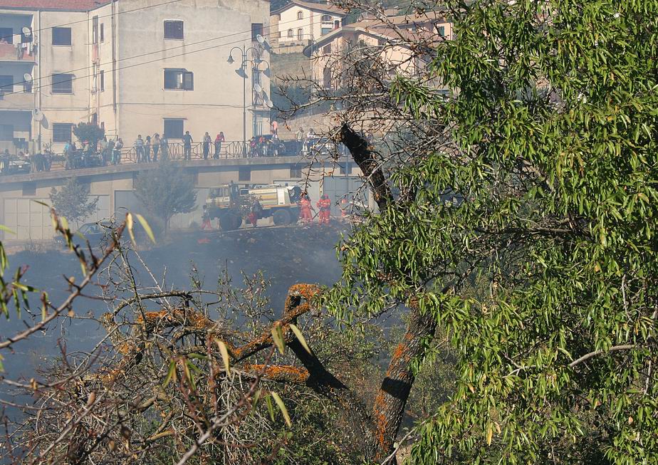 Incendio doloso... od incuranza???