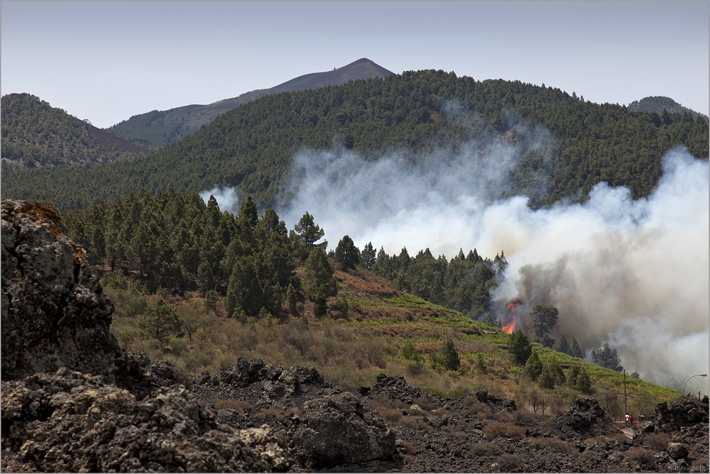 Incendio Forestal