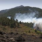 Incendio Forestal