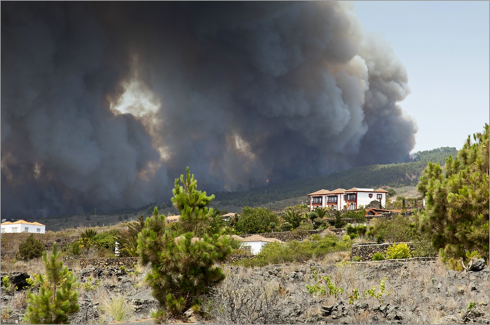 Incendio Forestal (2)