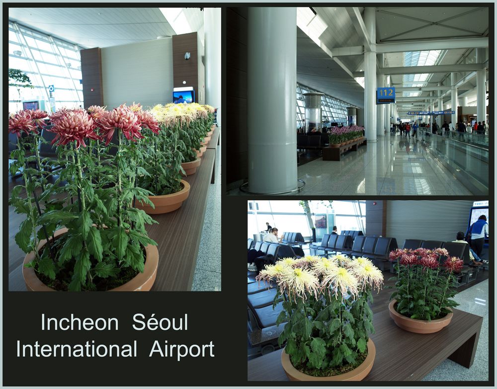 Incheon Seoul international airport