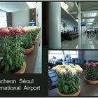 Incheon Seoul international airport