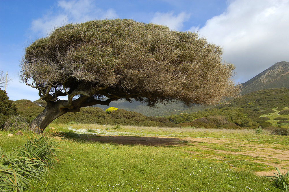 inchino alla natura