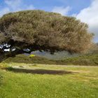 inchino alla natura