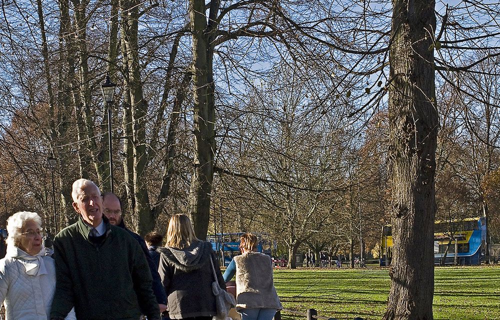 Incognito dans un parc de Cambridge  --  Inkognito in einem Park von Cambridge