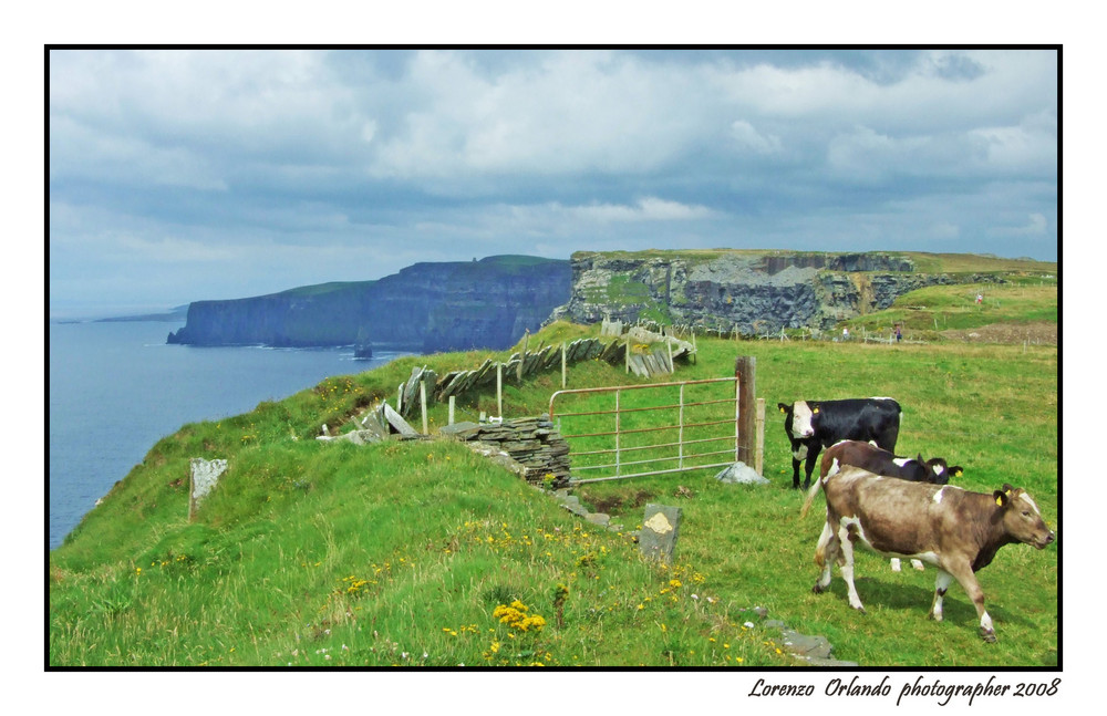 Incontri alle Cliffs of Moher