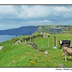 Incontri alle Cliffs of Moher