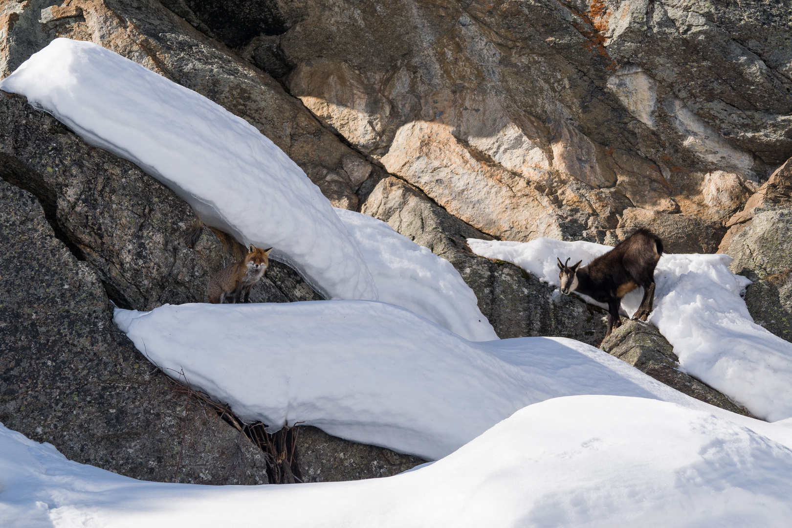 Incontri di febbraio in montagna