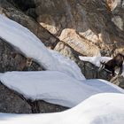 Incontri di febbraio in montagna