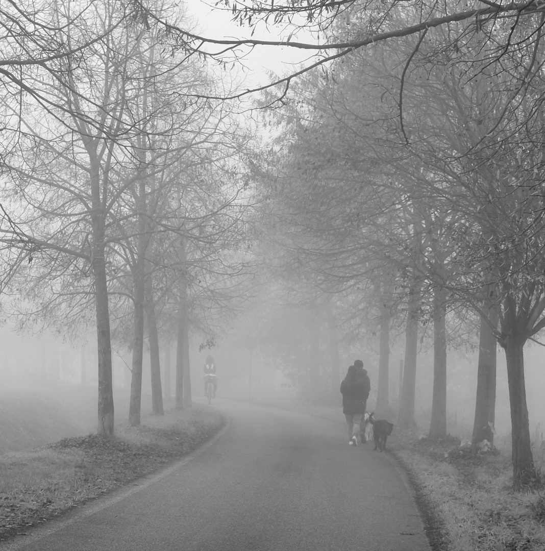 Incontri nella nebbia