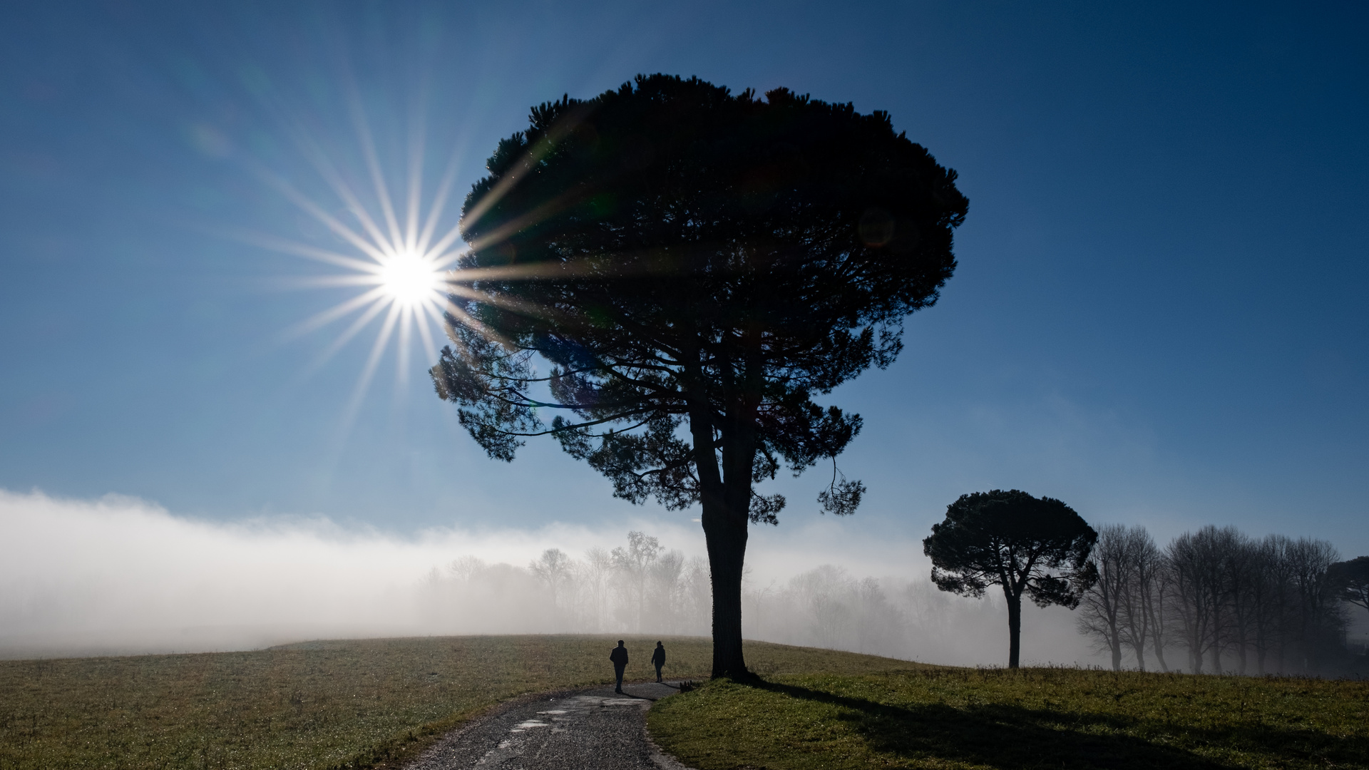 Incontri nella nebbia. jpg