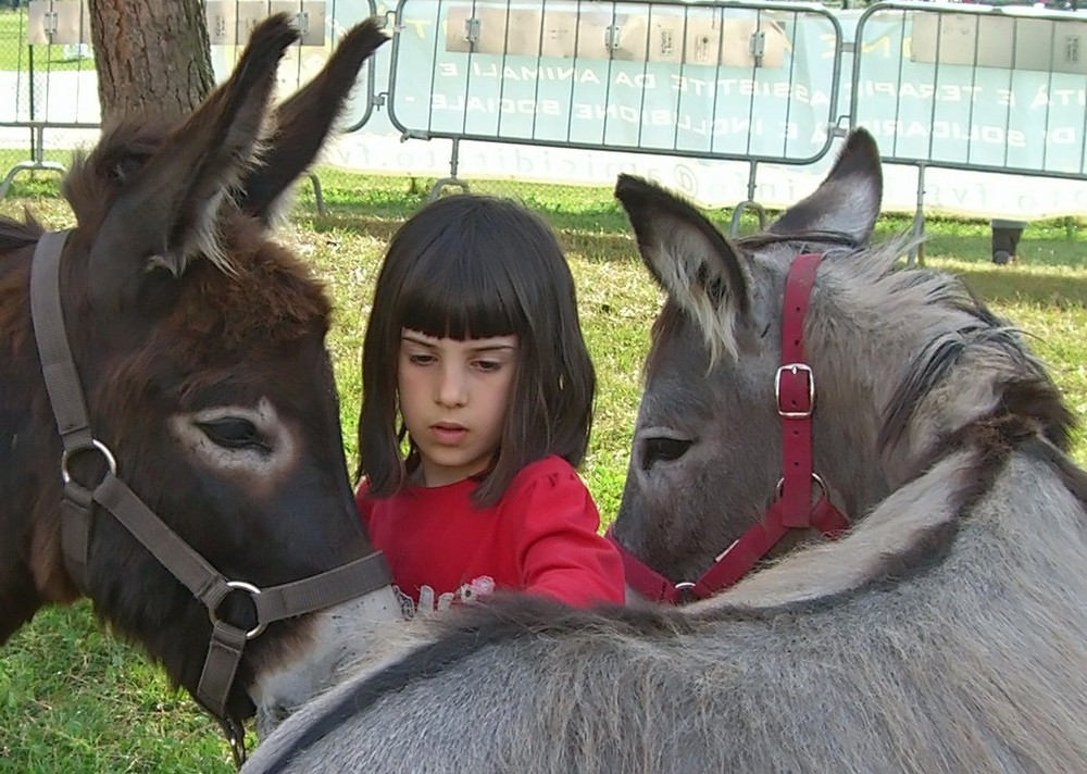 incontro a tre