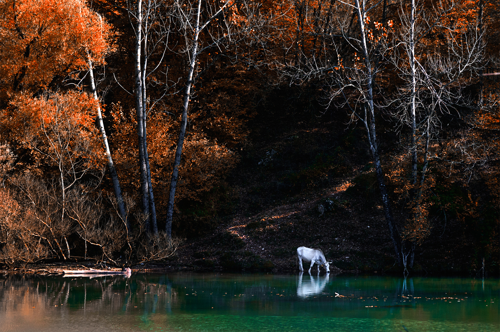 Incontro al lago