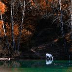 Incontro al lago