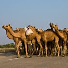 ...incontro in autostrada....