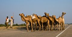 ...incontro in autostrada....