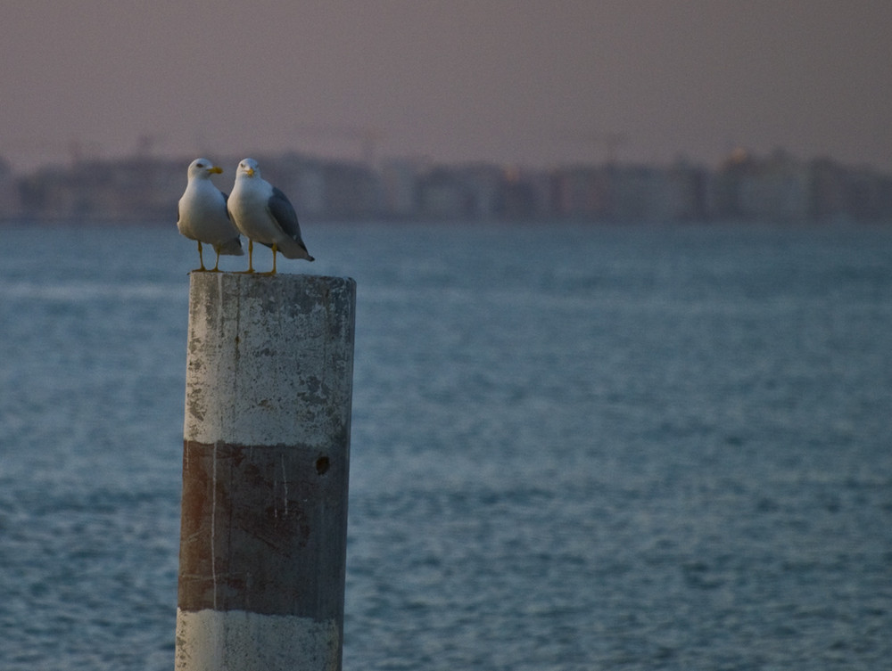 Incontro romantico al tramonto