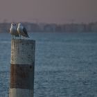 Incontro romantico al tramonto