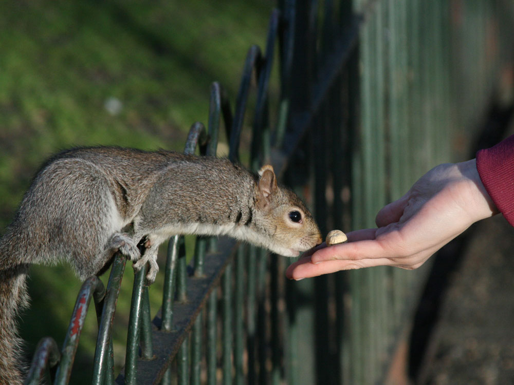 Incontro tra uomo e natura: mi fido di te!