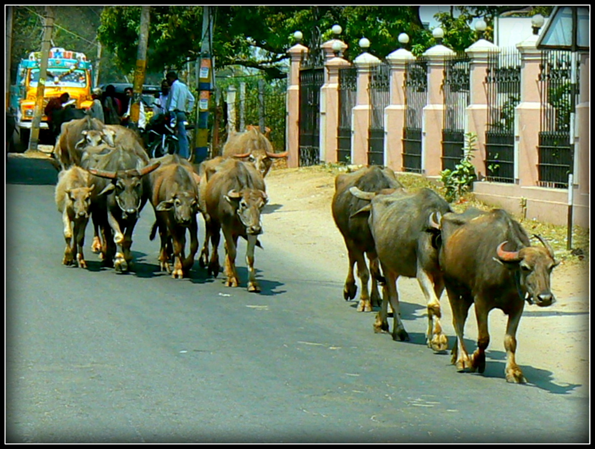 Inde centrale 