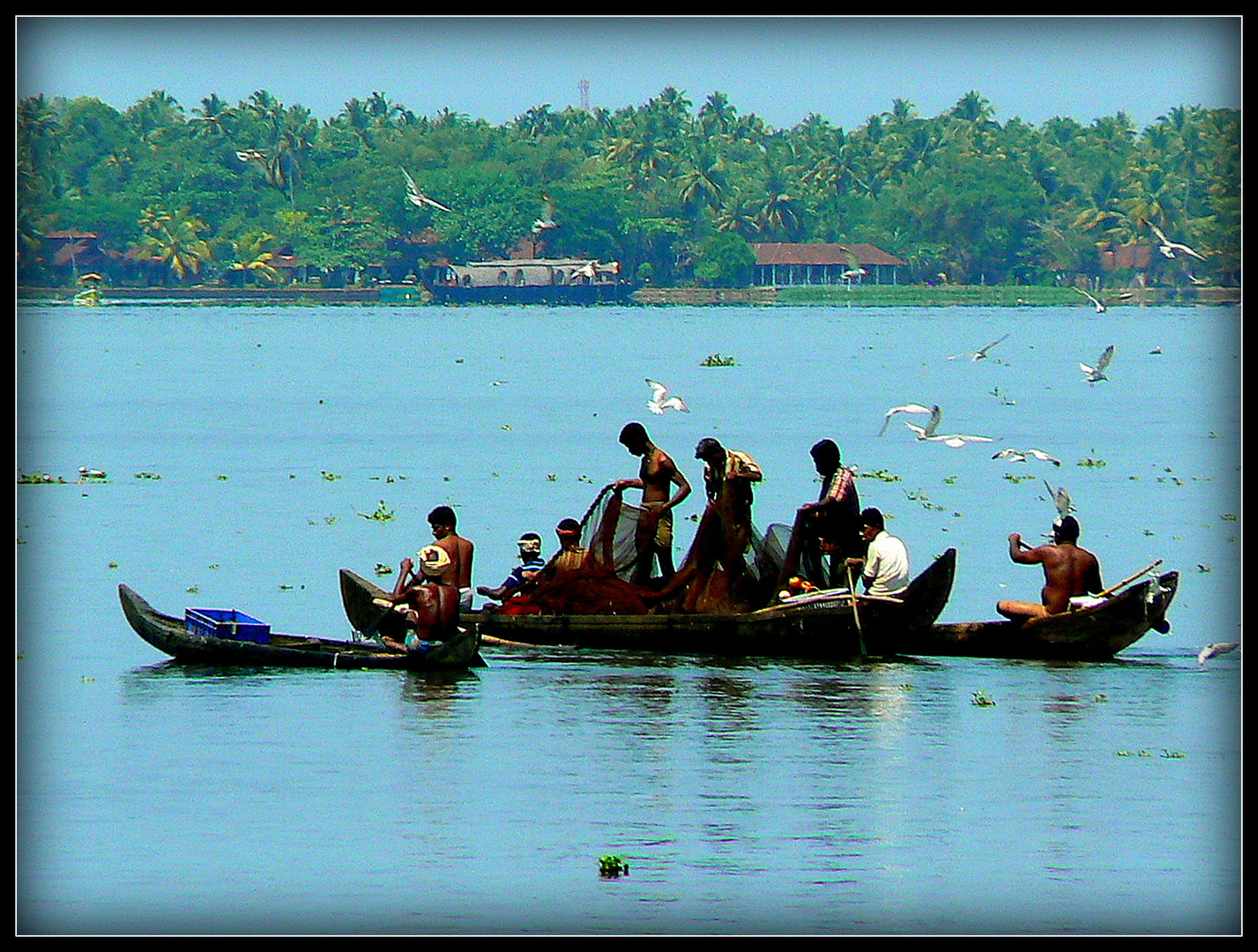Inde du Sud - Kerala 