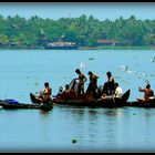 Inde du Sud - Kerala 