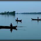 Inde du sud -Kerala 