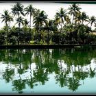 Inde du Sud Kerala - Backwaters 