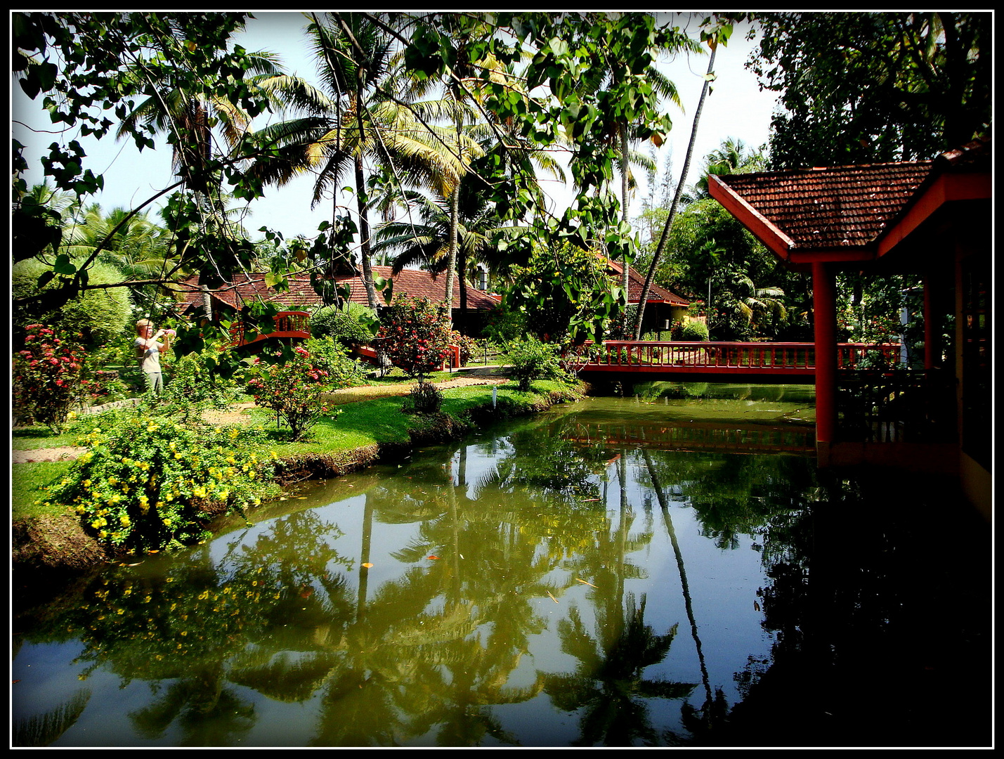 Inde du Sud Les Back Waters au Kerala 