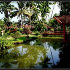 Inde du Sud Les Back Waters au Kerala 