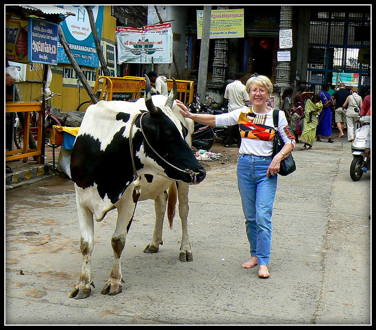 Inde du Sud Ouest 