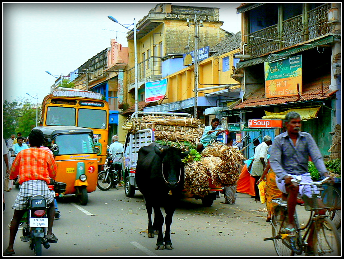 Inde du Sud Ouest 