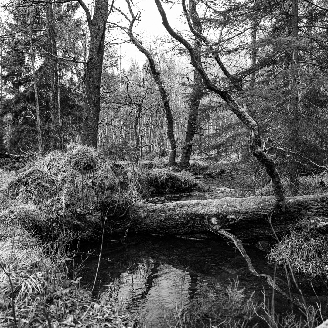 Inde mit Naturbrücke