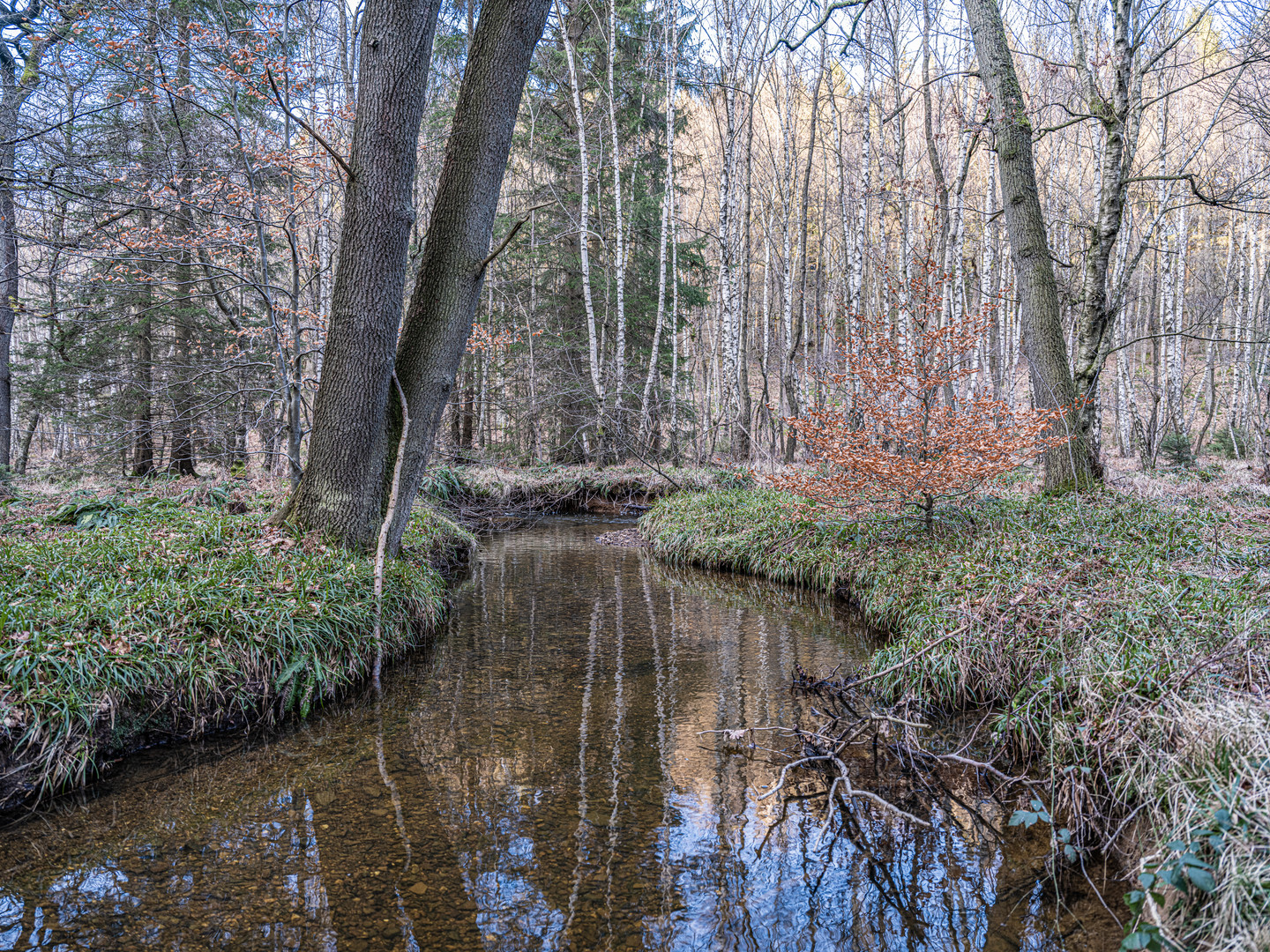 Inde, Oberlauf am 25.2.2024