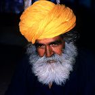 INDIA - BIKANER. TEMPLE KARNI MATA RAT