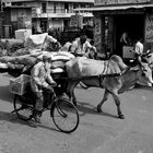 INDIA - I TRASPORTI - 4 / INDIAN WAYS OF TRANSPORT - 4