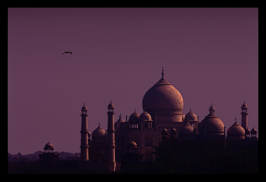 India - Taj Mahal #1