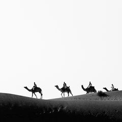 India - Thar Desert #1