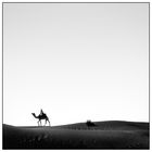 India - Thar Desert #4