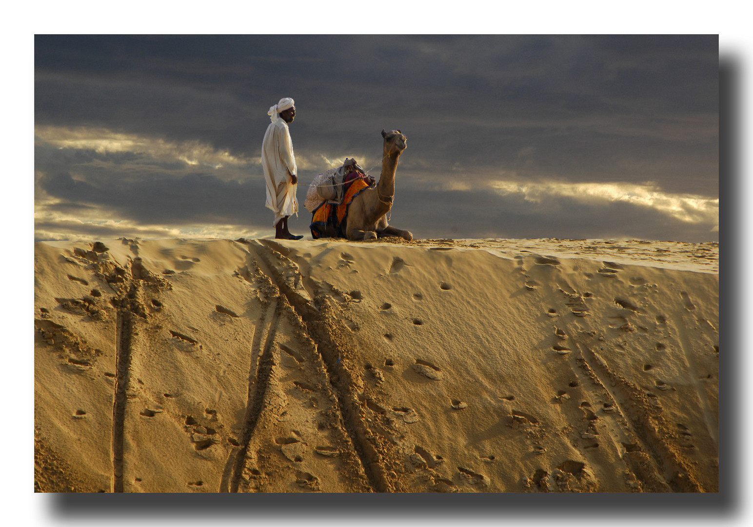 India - Thar Desert - Deserto del Thar